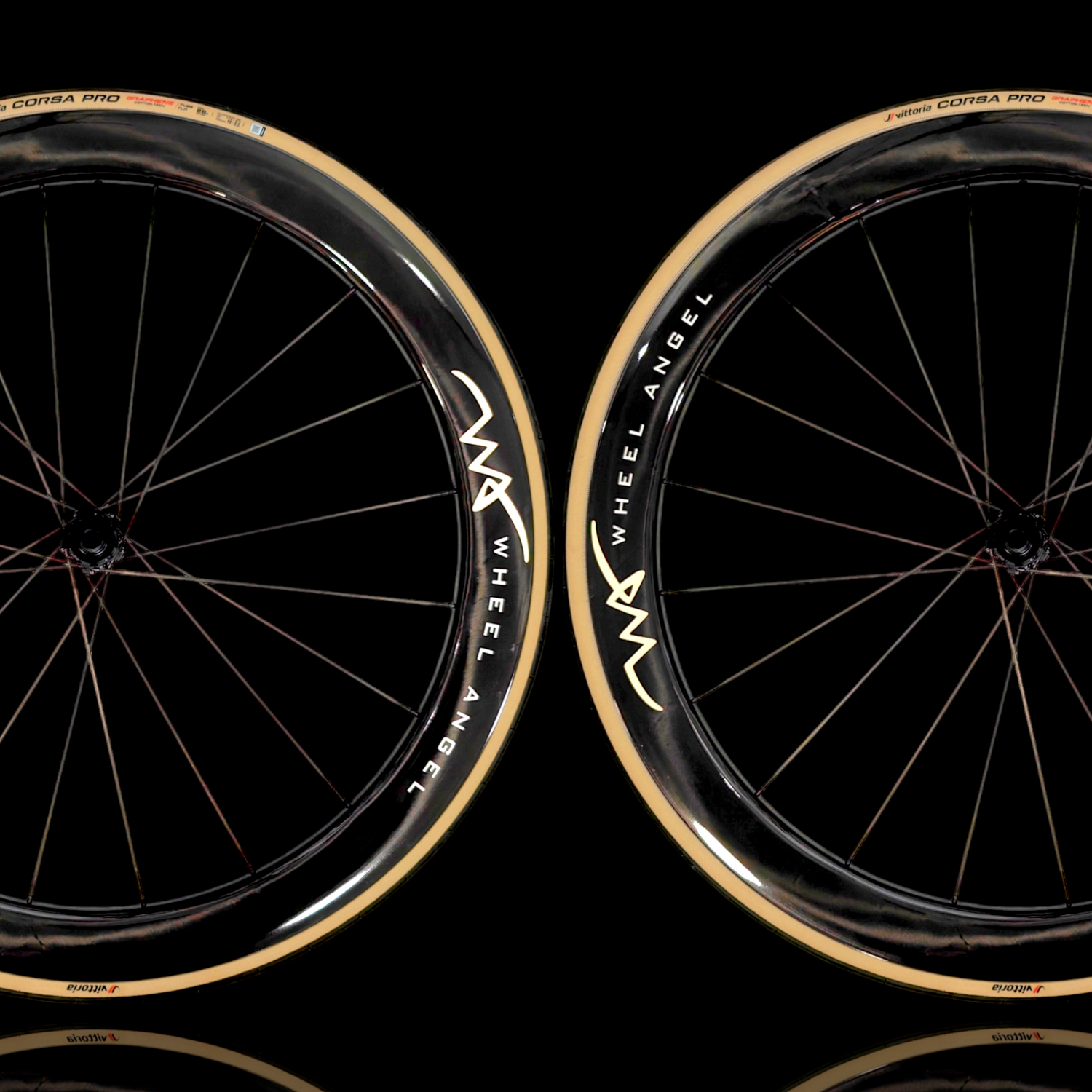 Carbon Spokes Pair