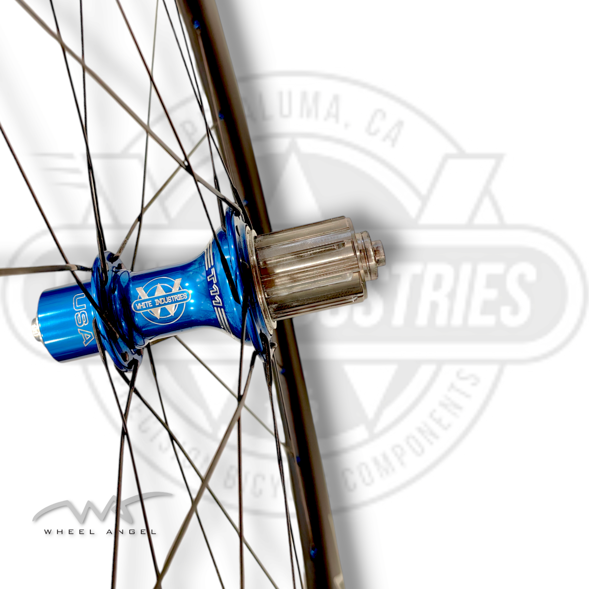 White Industries T11 Rear Blue Hub